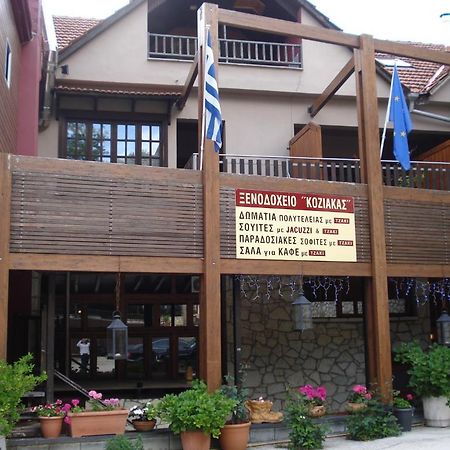 Hotel Koziakas Eláti Kültér fotó