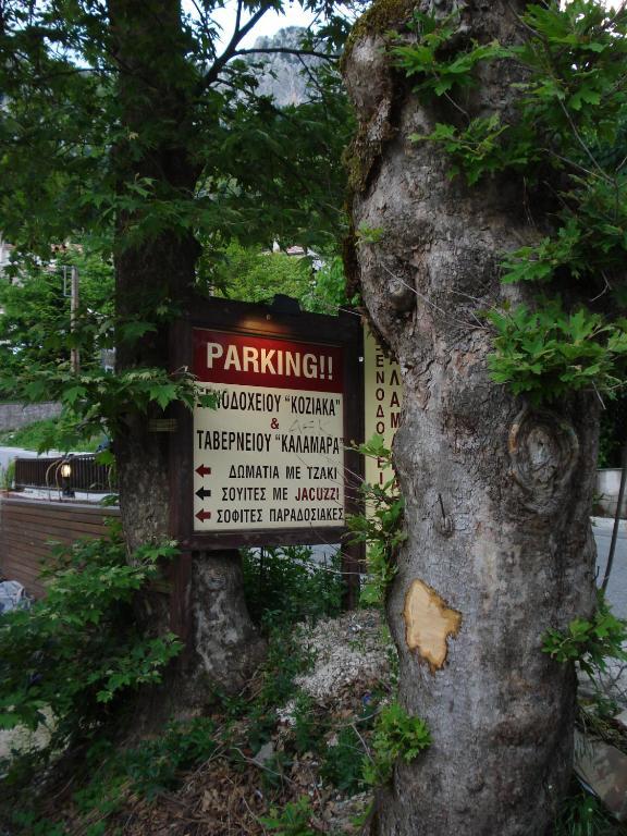 Hotel Koziakas Eláti Kültér fotó